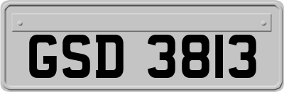 GSD3813