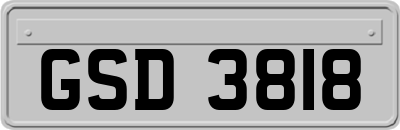 GSD3818