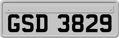 GSD3829