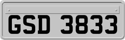 GSD3833