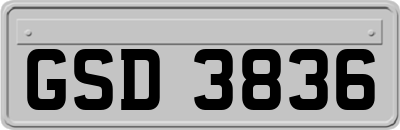 GSD3836