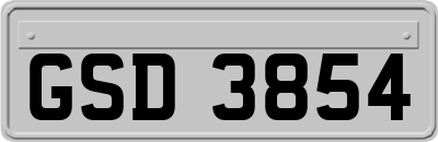 GSD3854