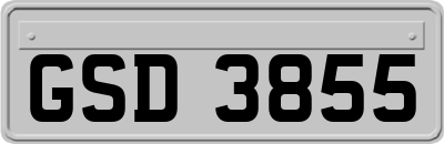 GSD3855