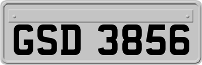 GSD3856