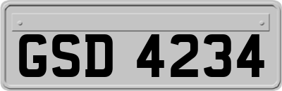 GSD4234
