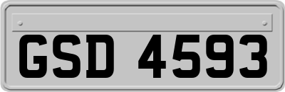 GSD4593