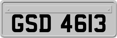 GSD4613