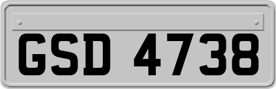 GSD4738