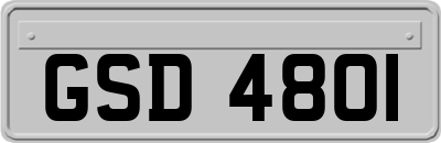 GSD4801
