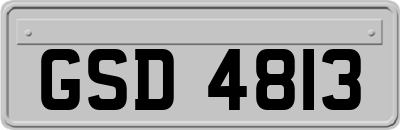 GSD4813