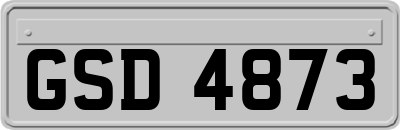 GSD4873