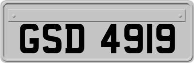 GSD4919