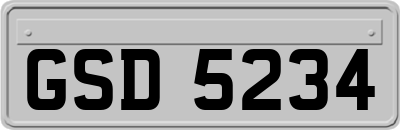 GSD5234