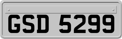 GSD5299