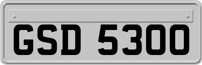 GSD5300