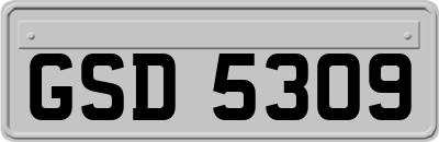 GSD5309