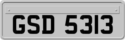 GSD5313