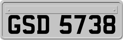 GSD5738