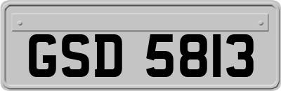 GSD5813