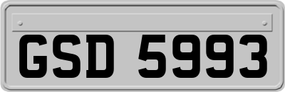 GSD5993