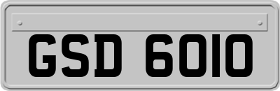 GSD6010