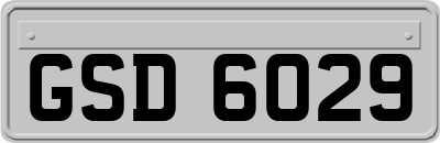 GSD6029