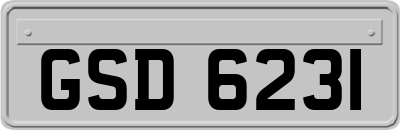 GSD6231
