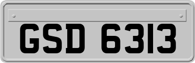 GSD6313