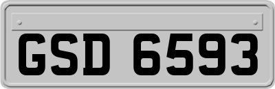 GSD6593