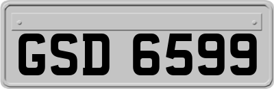 GSD6599