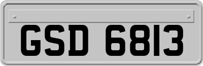 GSD6813