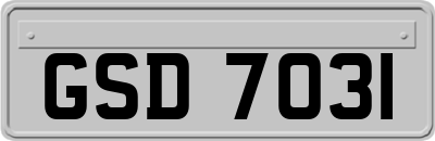GSD7031