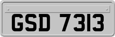 GSD7313