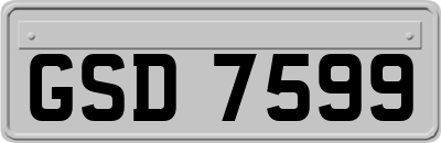 GSD7599