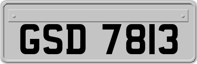 GSD7813