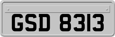 GSD8313