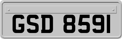 GSD8591
