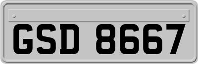 GSD8667