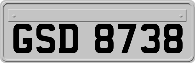 GSD8738