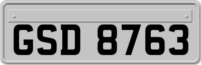 GSD8763