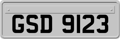 GSD9123