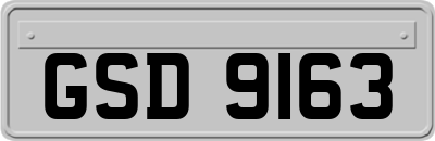 GSD9163