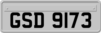 GSD9173