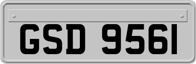 GSD9561