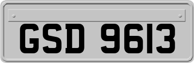 GSD9613