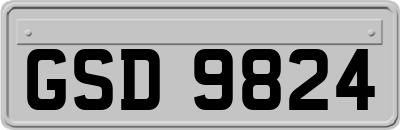 GSD9824
