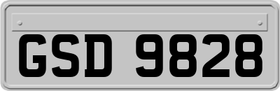 GSD9828