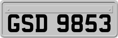 GSD9853