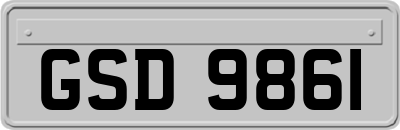 GSD9861
