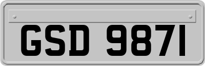 GSD9871